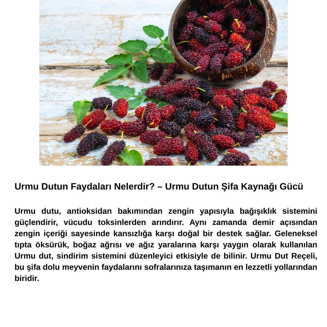 Urmu Dut Reçeli 400 Gr